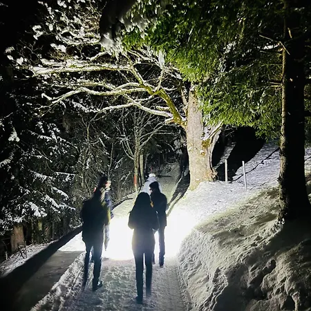 Baba Wengen Lisa Appartamento *