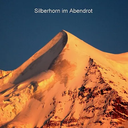 Baba Wengen Lisa Appartamento