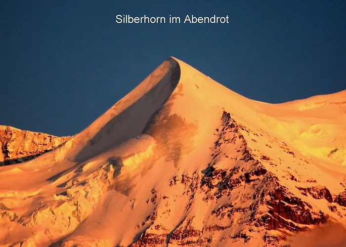 Baba Wengen Lisa Lägenhet