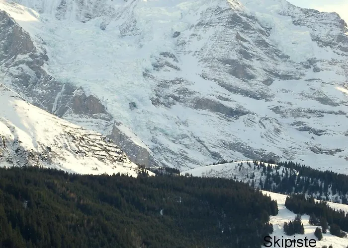 Baba Wengen Lisa * Lauterbrunnen