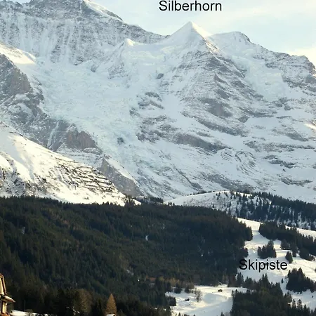 Baba Wengen Lisa * Lauterbrunnen